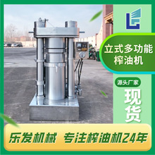 乐发芝麻核桃压榨机油厂全自动榨油机设备产线40斤大型液压榨油机