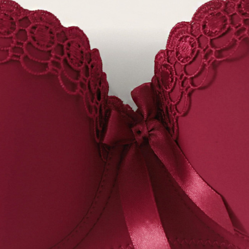 Cross-border girl bra embroidered butterfly steel ring underwear non-slip fashion ladies sexy big breasts small bra