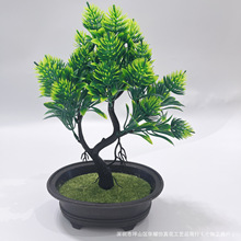 �S��ֱ������ֲ����֦С��٘�֦�����b[�P�������ϻ�������