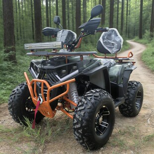 200cc����¿���݆ԽҰɳ��܇ ������ATVȼ��Ħ��܇ȫ����ѩ��UTV