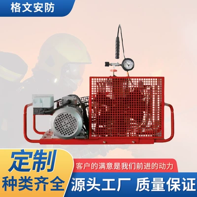 Mobile Air Filling Pump Customized Portable Air Respirator Air Compressor Diving Firefighting 220V