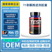 �羳���ԭ�bT1غͪ���M�����Ժɠ����z��OEM����