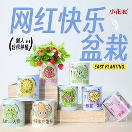 小花农桌面盆栽厂家批发网红快乐盆栽系列创意礼品趣味办公桌绿植