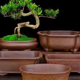 宜兴透气紫砂花盆段泥柴烧五线盆长方马槽竹节黄杨金弹子包邮