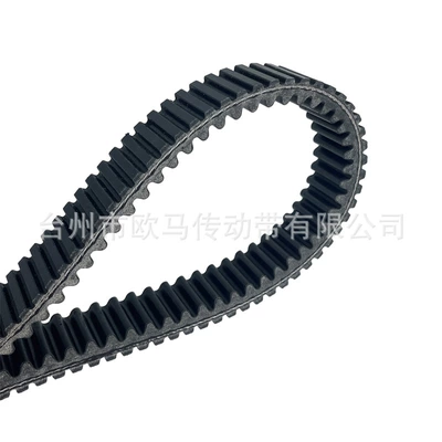/ 3211149 /3211142 – Belt