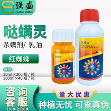 ���_ ���ڌ�15%�}�\�`���׌��rș�����O����t֩�뚢�x���\�����]