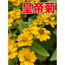 �ʵ۾շN�ӽ��ջ��N���ļ����N�_���׻������ͥԺ�̨���Ի���