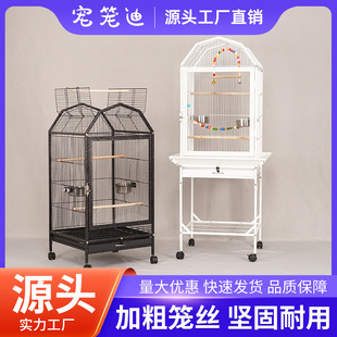 �����羳�I�ҽ����B�\�B�e�� ����\ �W�^�\�� Ⱥ�\���l���P�