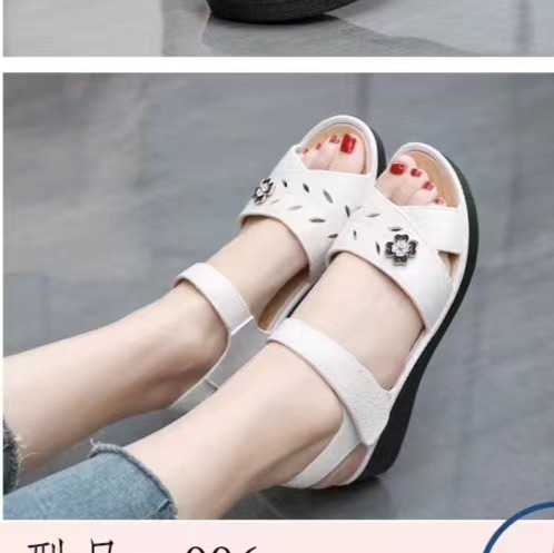 微信图片_202301142210082