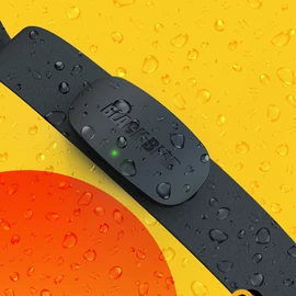 自行车灯;自行车码表;自行车装饰