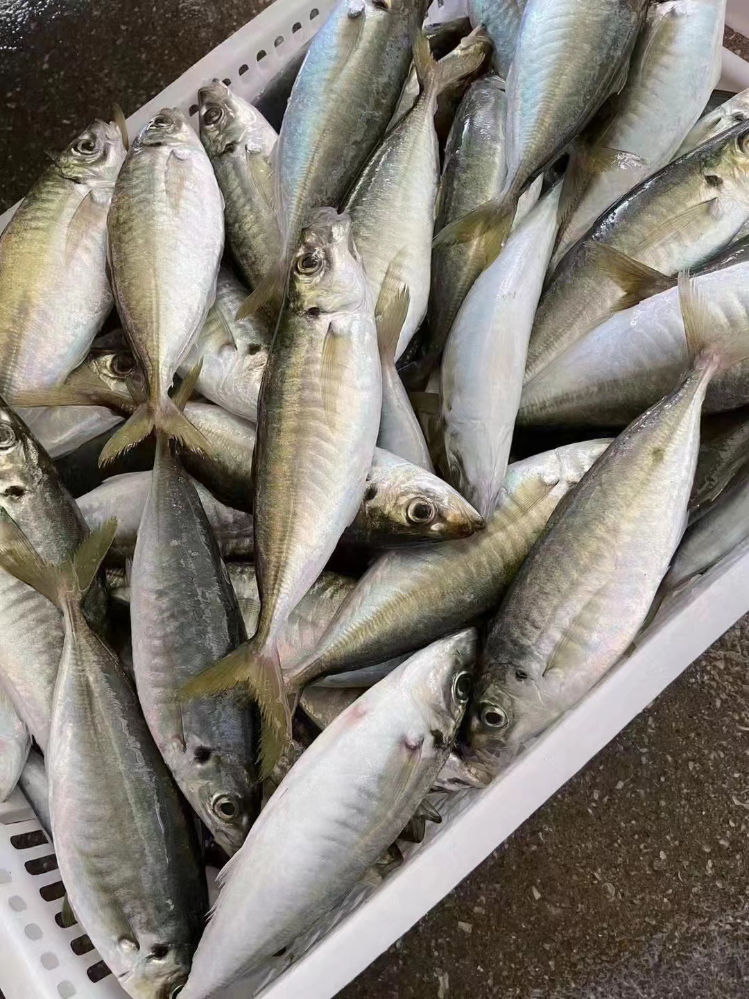 148d47a11785f700addab2bdb072b3