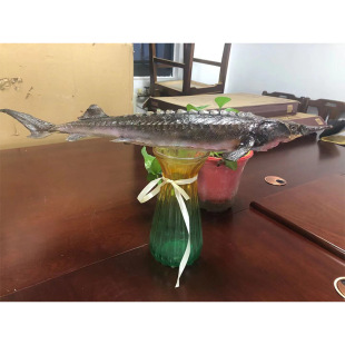 �\�~����ģ�� ��Ŀ�~ �l�~ ���� �p����  �ǿp���^�ǎ��Xģ��