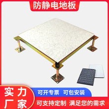 全钢无边防静电地板无缝架空抗静电地板机房地板无边框600600机房