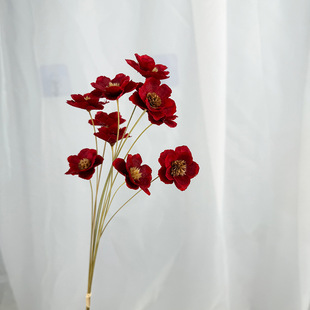 ����ֹ�ճ�ӻ��y⏻���ˇdiy�廨���ļҾ��b����ޔ[��