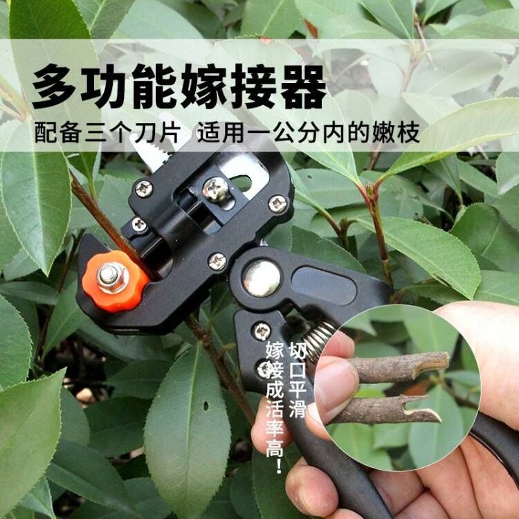 SNJUE tijeras de injerto cortadora de injerto tijeras de injerto de plántulas herramientas de injerto de árboles frutales herramientas de jardinería