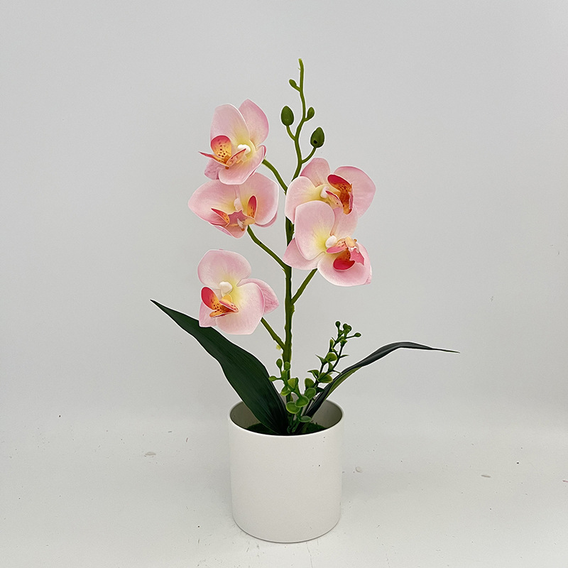 핑크 (높이 31*가로 17cm)