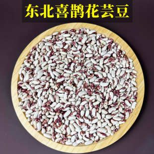 2023��|��ϲ�o��ܿ���������ϼt���������ּZ����s�Z���