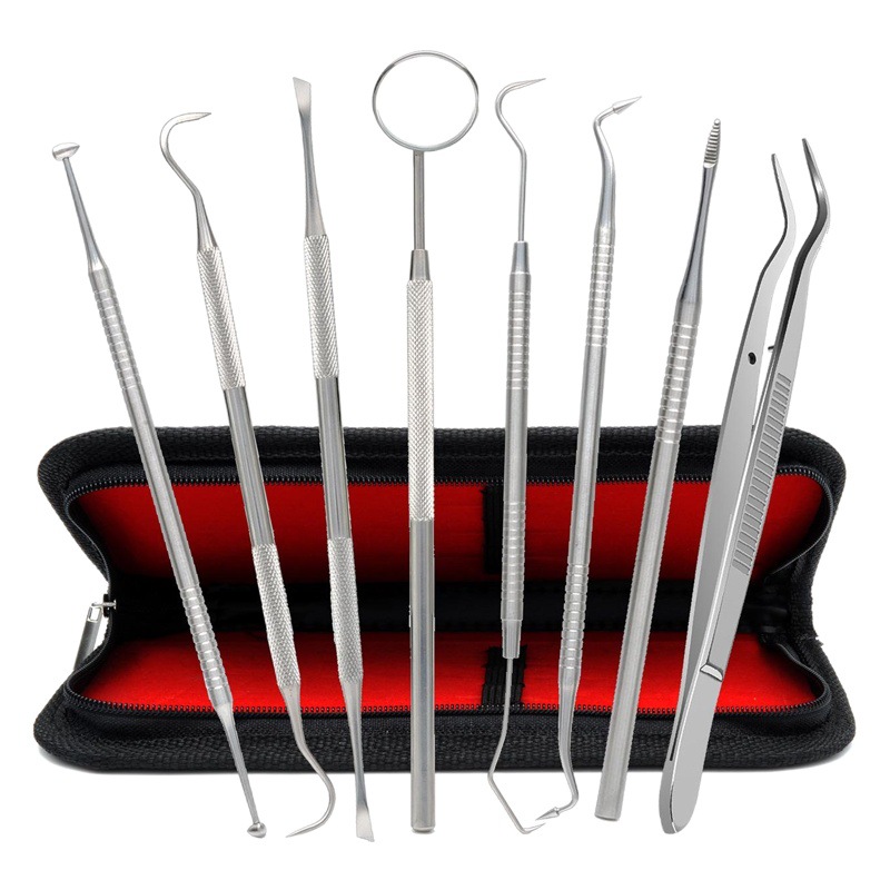 メーカー卸売歯科用ツール10点セットの歯磨きステンレス製の歯の看護プローブの歯医者用ツールセット