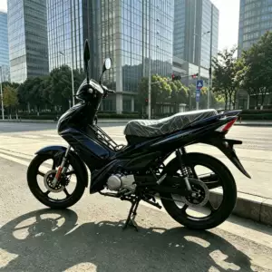 Yeni Qara İki Təkərli Motosiklet, İxrac üçün İqtisadi və Praktik