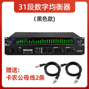 Professional 31-Band Digital Equalizer with Spectrum Display for Stage, Ktv Performance, Home Bar, Noise Reduction Audio