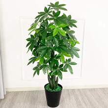 �lؔ�����ԾGֲ�҃��b͏d�٘�[�O��ػ���ֲ����X���辰