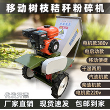 lyʽƄ厲ݙCСͼ֦CBֳвݙCݷCն