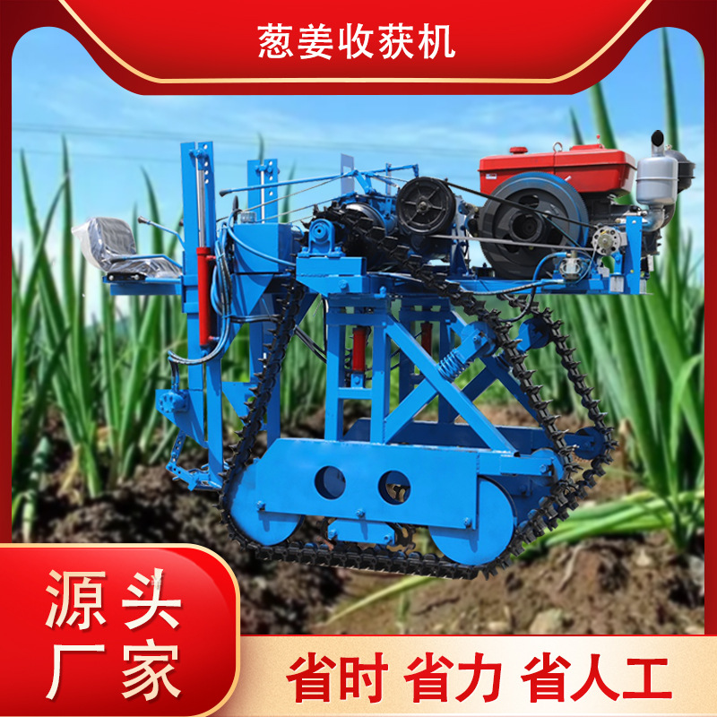 全自动不伤姜收获机 新款手扶出姜机 柴油自动振土大葱收货机