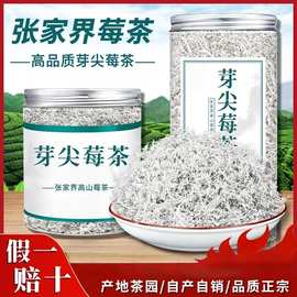 厂价直销莓茶张家界非野生特级芽尖霉茶正宗龙须藤茶湖南永顺莓茶