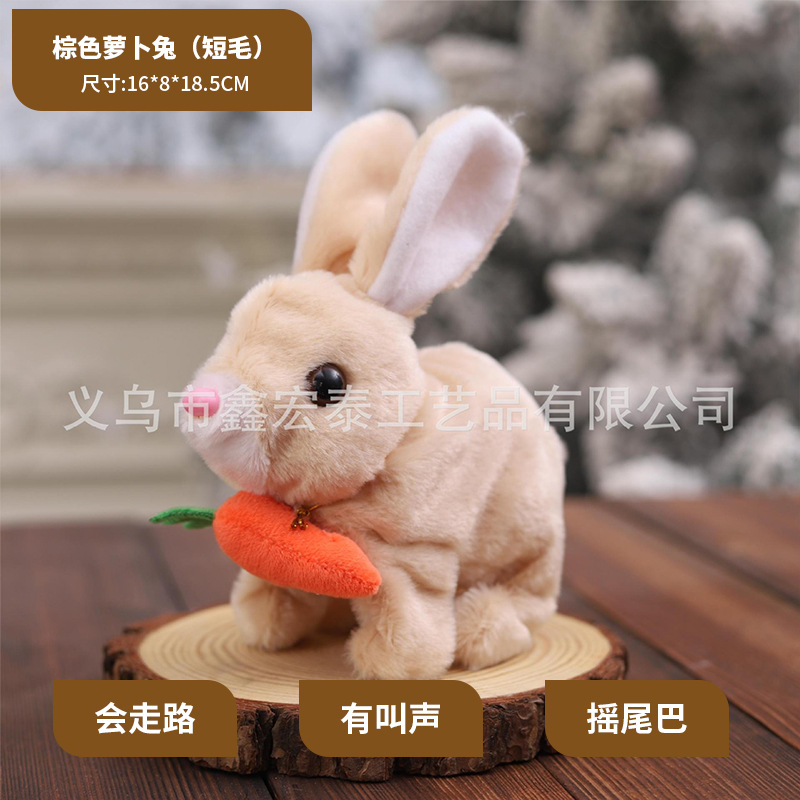 Conejo de rábano marrón (hair corto)