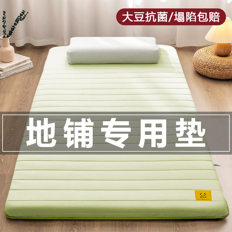 地铺睡垫家用床垫软垫防潮地垫打地铺神器租房专用垫学生宿舍单人|undefined