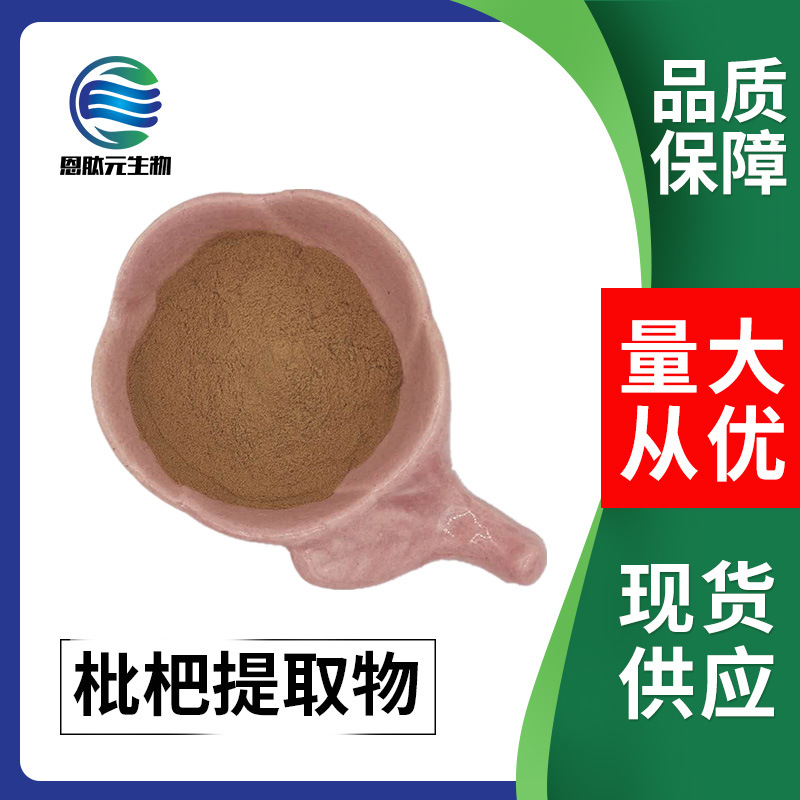 枇杷提取物 10:1植物提取物 现货供应1kg/袋 量大从优 枇杷提取物