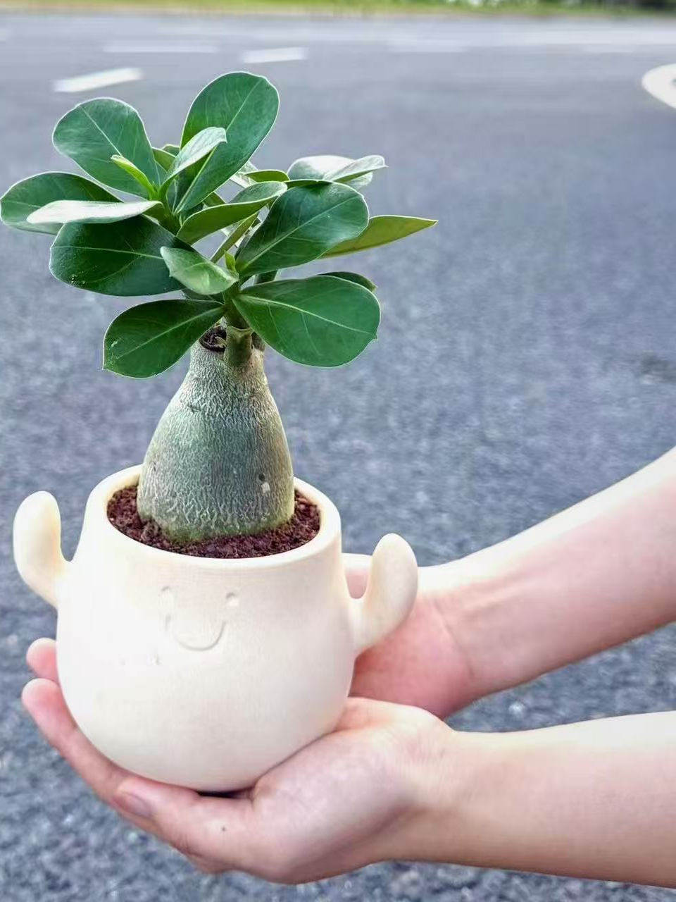 商品图