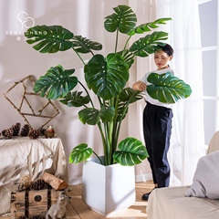 擬似多竿亀背植物擬似樹緑植盆栽室内客間バイオニクス大葉亀背竹装飾置物