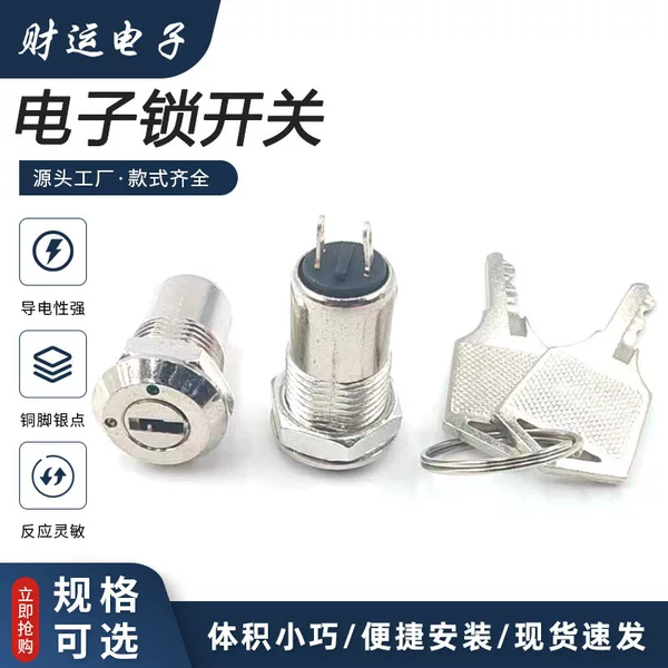 12mm electronic lock S1204-135 2 feet 2 gears double pull 135 iron key power lock safe phone lock