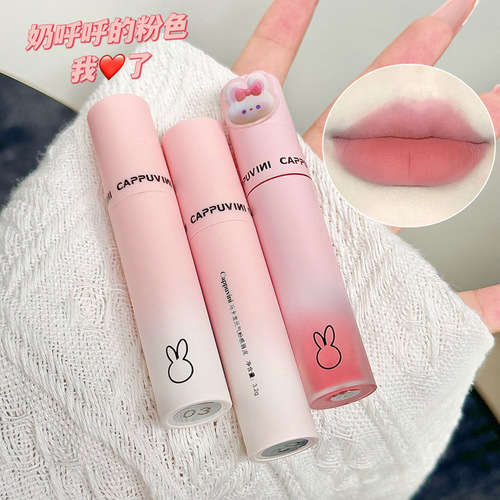 Cappuvini Macaron Vitality Pink Lip Mud Pseudo-no-Makeup Soft Mist Lip Gloss Lipstick Makeup Cross-border Beauty