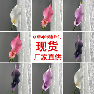 ��Ʒ�|�����p���R��ɏ�Ͱ꺣��Ӱ��g�ۘǲ���ˇ�OӋ��c��Y�b�