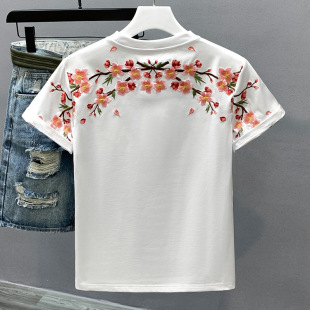 2024�����¿�����Ї��L���ƌ���÷���̽�����t������H�ļ�����