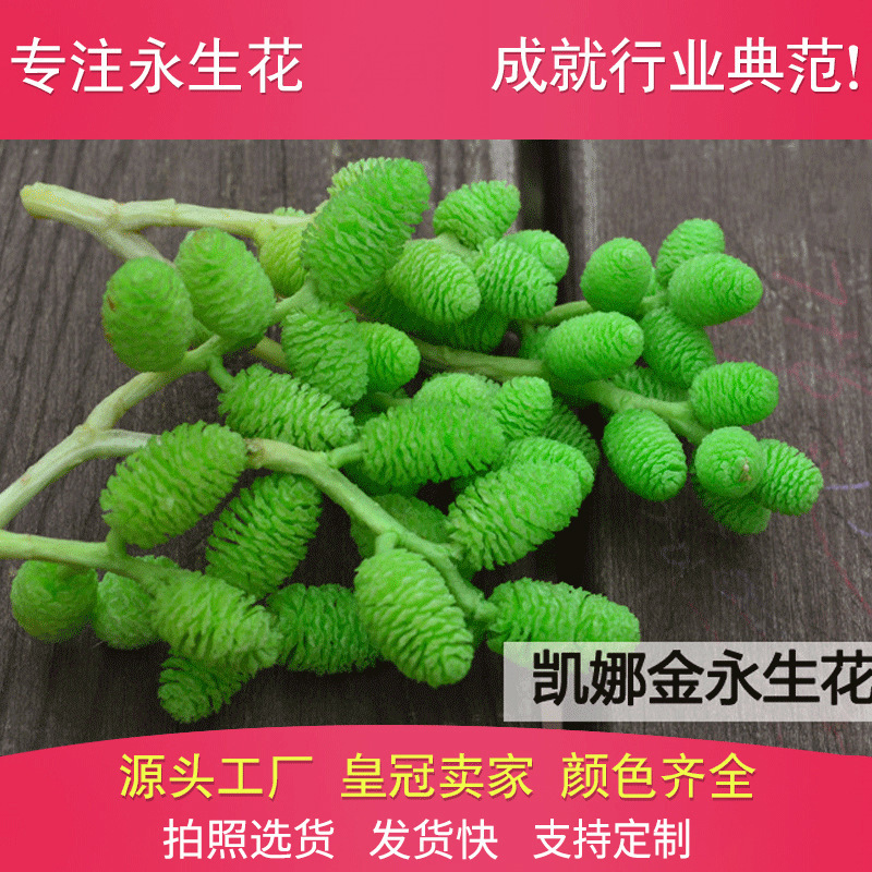 桑葚果 永生花花材 配花保鲜花礼盒制作配材