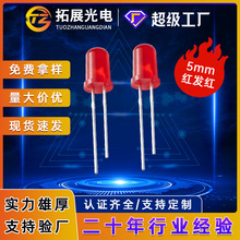 f5�t�l�t��ledֱ��ʽ�����L���_�����_�ɏ��_�l����O�� 5mm�t��