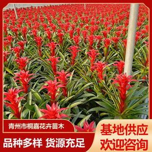 ���ݻ��ع���ƽ�^�t���Ի��� ���@�G�������� �҃�ͥԺһƷ�t����