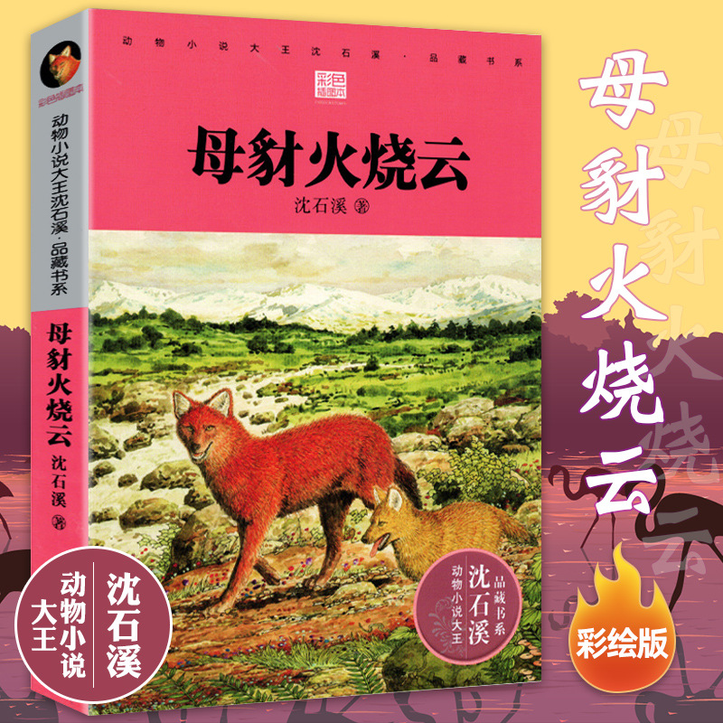 암컷 자칼 불 구름