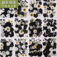 30片水墨黑白干花压花手工制作真花植物标本干花压花diy材料包