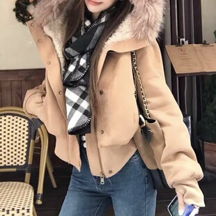 �����´�ë�I�Bñ�L�������Ů�b�����e�¼Ӻ�ů��Ƥ�q�A������