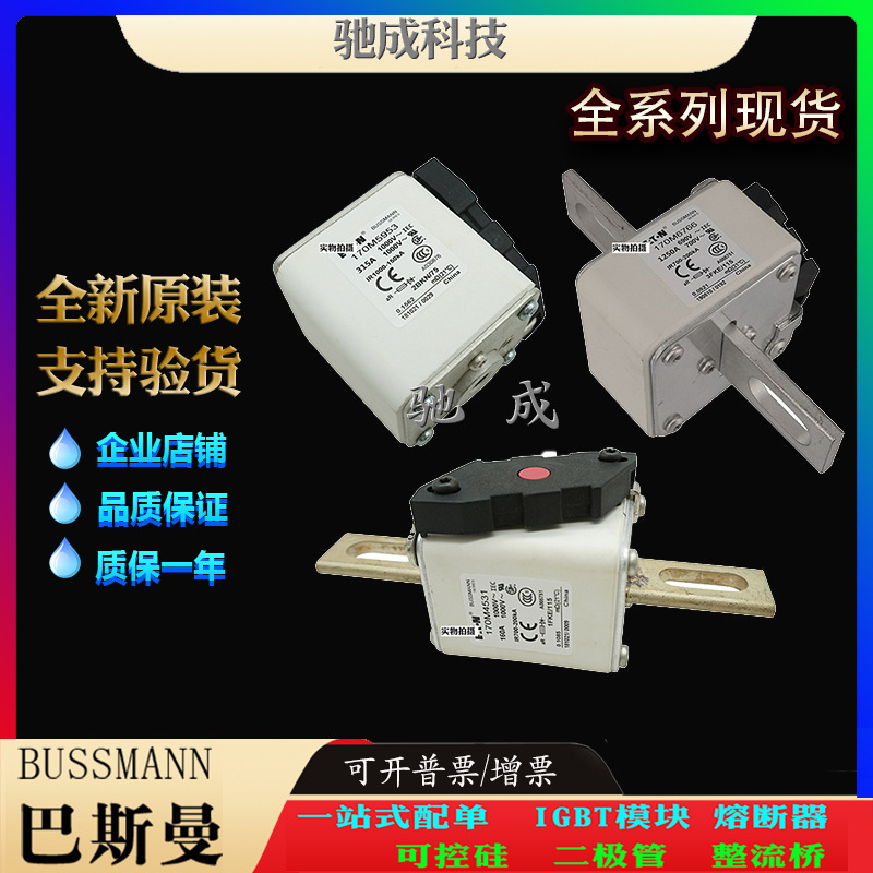 巴斯曼170M6919 170M6920 170M6921 厂家供货原价销售 快速熔断器