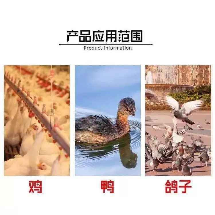 Куриный поильник для воды, курица, утка, автоматическая курочка для питьевой воды, голубь поилка для воды, куриный поильник, цыплята, перепелы для питьевой воды
