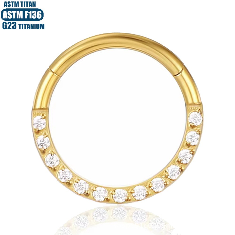 F136 Titanium Alloy Zircon Earrings CNC Seamless Ring Nose Ring Diaphragm Perforated Jewelry Ear Ring detail image 7
