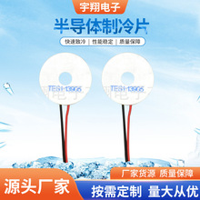 ��Ӧ�뵼������Ƭ TES1-13905���ΰ뵼������Ƭ ����Ƭ˫��뵼��