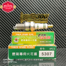 5307 ������ȼ��  ���^���� ����܇����