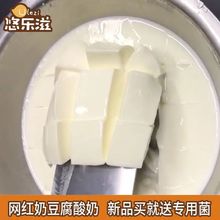 悠乐滋奶豆腐酸奶粉固体切块水果捞酸奶粘稠拉丝料包1000克送菌种