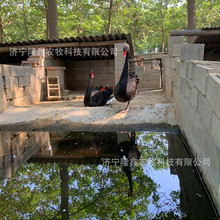 �����Z���w���� Ó�غ����Z�� ��������Z�^�p�����Z ˮ�ݺ����Z